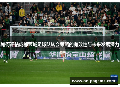 如何评估成都蓉城足球队转会策略的有效性与未来发展潜力